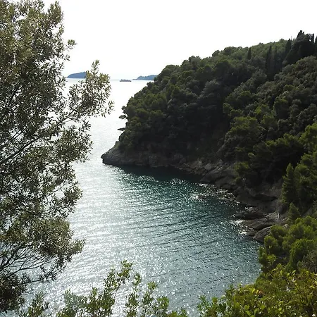 Apartment Tra Medioevo E 5 Terre